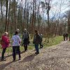 04 unterwegs im zbinger forst 22